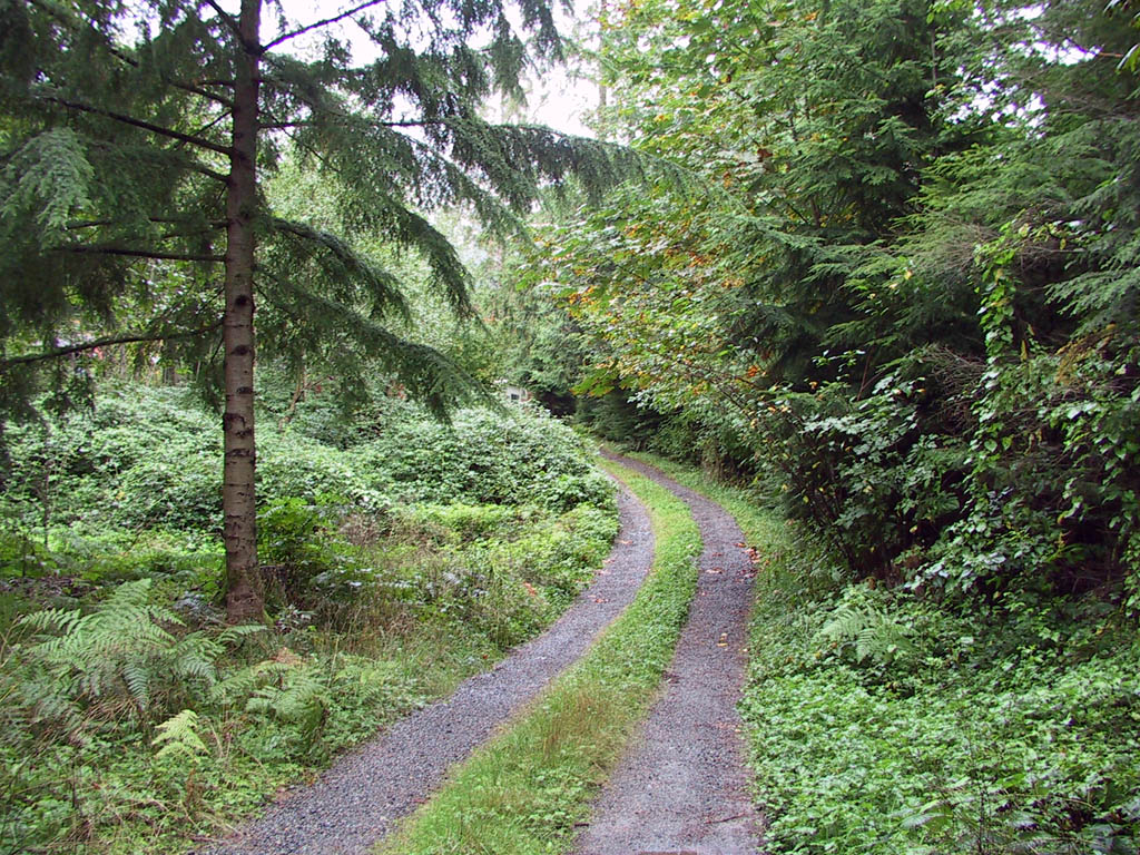 Living Offgrid Northern Alberta Style we share our mistakes and