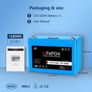 SWE LiFePO4 12V/100Ah Lithium Battery w. BT and Heater