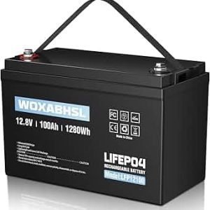 SWE LiFePO4 12V/100Ah Lithium Battery w. BT and Heater