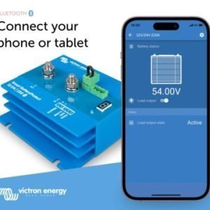 Victron 12/24V-220A Battery Protect