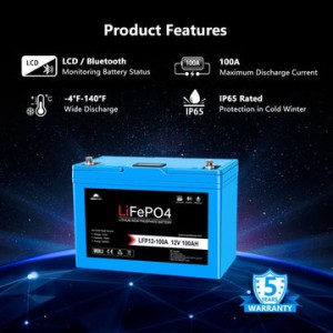 SWE LiFePO4 12V/100Ah Lithium Battery w. BT and Heater